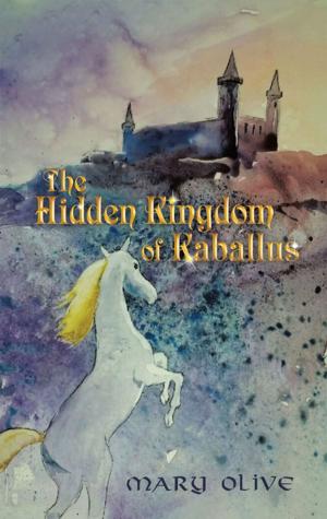 Cover of the book The Hidden Kingdom of Kaballus by Jack W. Page Jr.