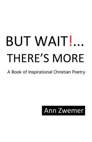 Cover of the book But Wait! . . . There’S More by Christian L, Gert Heidenreich, Dorothea Grünzweig, Tanja Dückers, Sujata Bhatt, Franzobel, Uwe Kolbe