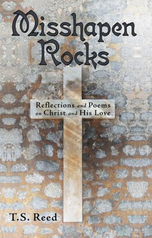 Cover of the book Misshapen Rocks by Reverend O.L. Johnson
