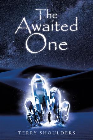 Cover of the book The Awaited One by David D. Nichols