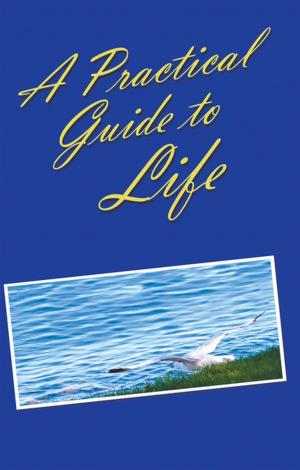 Cover of the book A Practical Guide to Life by Gina Medvedz