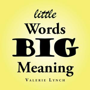 Cover of the book Little Words Big Meaning by William Blake