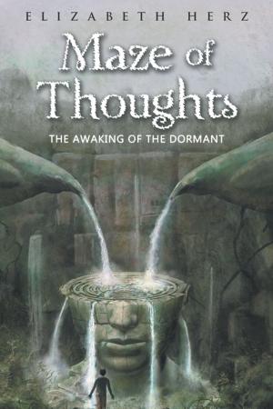 Cover of the book Maze of Thoughts by Laurie M. Figaniak