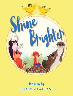 Cover of the book Shine Brighter by Brandea J. Kelley PA-C
