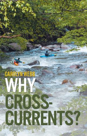 Cover of the book Why Cross-Currents? by Carol Lynn Vengroff