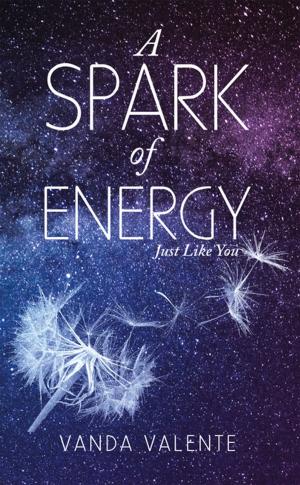 Cover of the book A Spark of Energy by Nicky Epstein