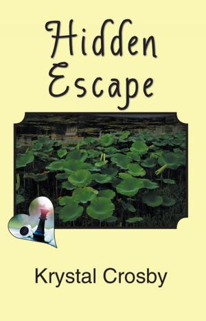 Cover of the book Hidden Escape by Boris Bouquerel
