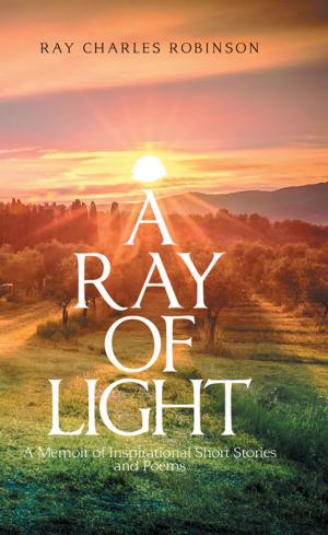 Cover of the book A Ray of Light by JP Meador