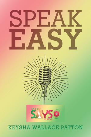 Cover of the book Speak Easy by S. B. Broshar