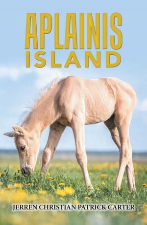 Cover of the book Aplainis Island by Lue Ward