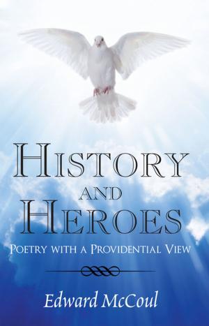 Cover of the book History and Heroes by Judy Fisk Lucas