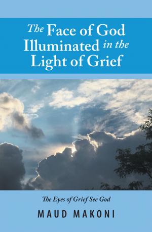 Cover of the book The Face of God Illuminated in the Light of Grief by Louise Chave