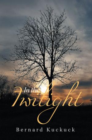 Cover of the book In the Twilight by Daniel J. Praz