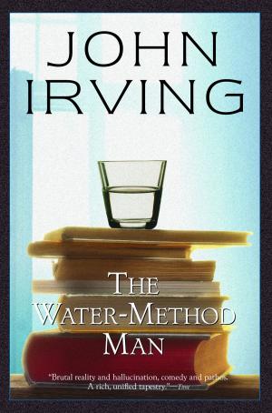 Book cover of The Water-Method Man