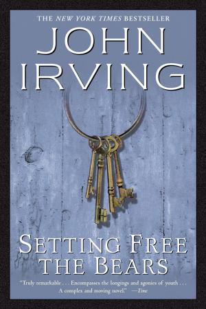 Book cover of Setting Free the Bears