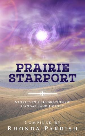 Cover of the book Prairie Starport by Jeffrey Allen Davis