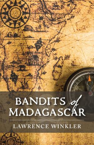 Book cover of Bandits of Madagascar