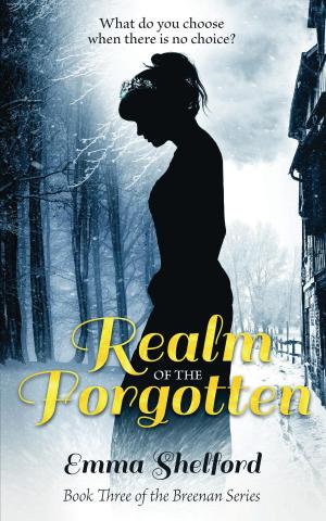bigCover of the book Realm of the Forgotten by 