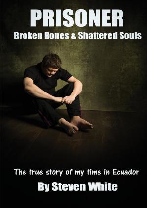 Cover of the book Prisoner by Sara Survivor