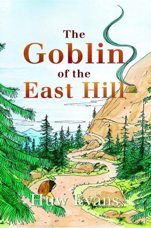Book cover of The Goblin of the East Hill