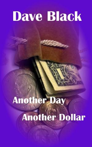 bigCover of the book Another Day Another Dollar by 
