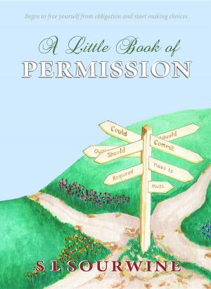 Cover of the book A Little Book of Permission by Celeste Pichette