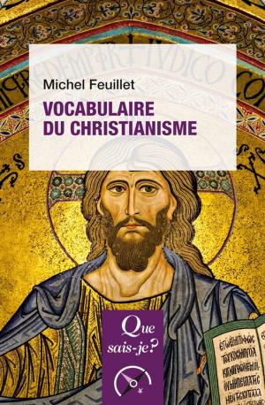 Cover of the book Vocabulaire du christianisme by Michel Hupet, Pierre Feyereisen