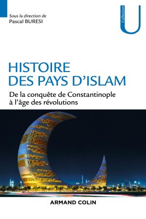 Cover of the book Histoire des pays d'Islam by Jean-Pierre Paulet
