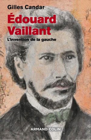 Cover of the book Edouard Vaillant by Michel Marie