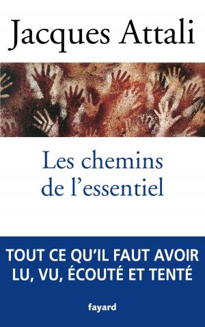 Book cover of Les chemins de l'essentiel