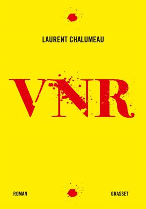 Cover of the book VNR by Gérard Guégan