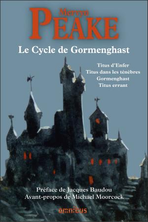 Cover of the book Le Cycle de Gormenghast by Bernard LECOMTE