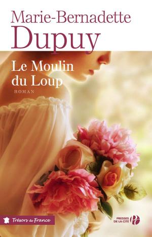 Cover of the book Le Moulin du loup by Karine GIEBEL
