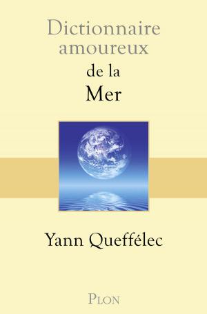 Cover of the book Dictionnaire amoureux de la mer by Colum MCCANN