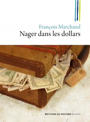 Cover of the book Nager dans les dollars by Jeanne Faivre d'Arcier