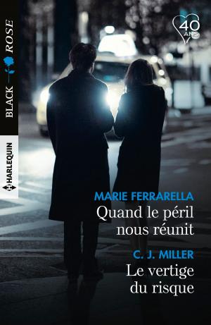 Book cover of Quand le péril nous réunit - Le vertige du risque