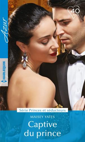 Cover of the book Captive du prince by Terri Brisbin