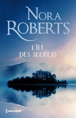 Cover of the book L'île des secrets by Christine Scott