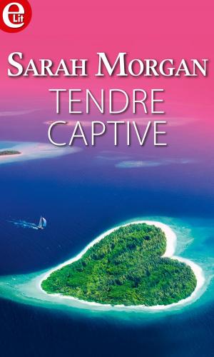 Cover of the book Tendre captive by Ann Elizabeth Cree