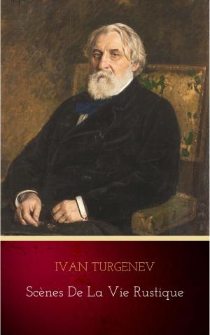 Cover of the book Scènes de la vie rustique by Newton Booth Tarkington