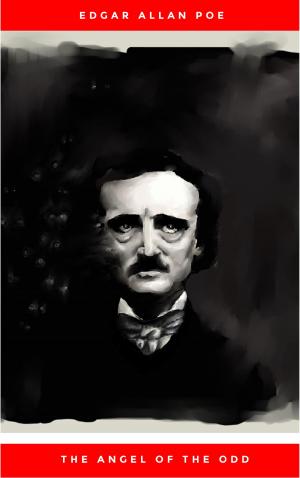 Cover of the book The Angel of the Odd by Edgar Allan Poe