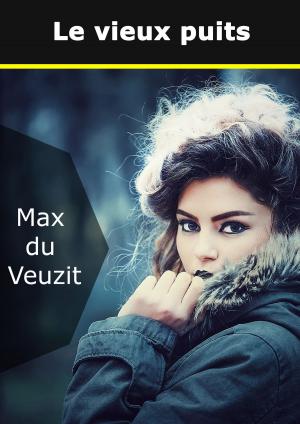 Cover of the book Le vieux puits by Karin Pelka