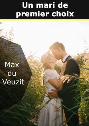 Cover of the book Un mari de premier choix by Michel Zévaco