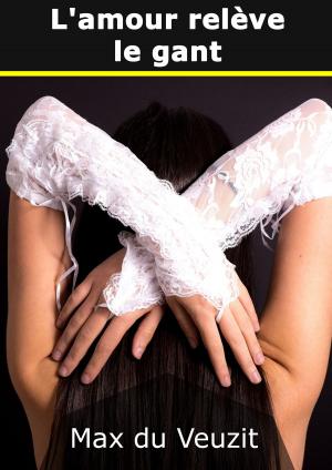 Cover of the book L'amour relève le gant by Hans-Ulrich Trosien