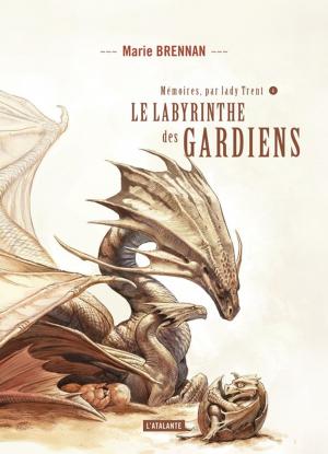 Book cover of Le labyrinthe des gardiens