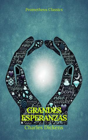 Cover of Grandes Esperanzas (Prometheus Classics)