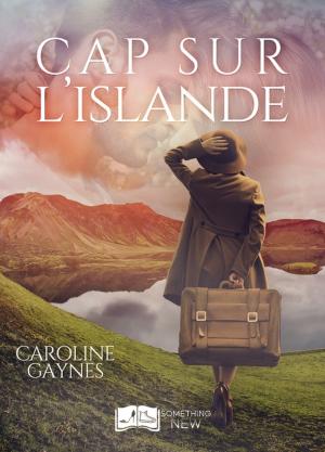 Book cover of Cap sur l'Islande