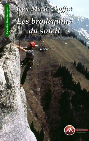 Book cover of Les brodequins du soleil