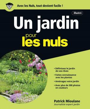 Cover of the book Un Jardin pour les Nuls, grand format, 2e édition by Jean-François SEHAN
