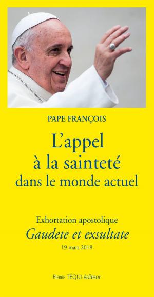 Cover of the book L'appel à la sainteté dans le monde actuel by Attila Vincent
